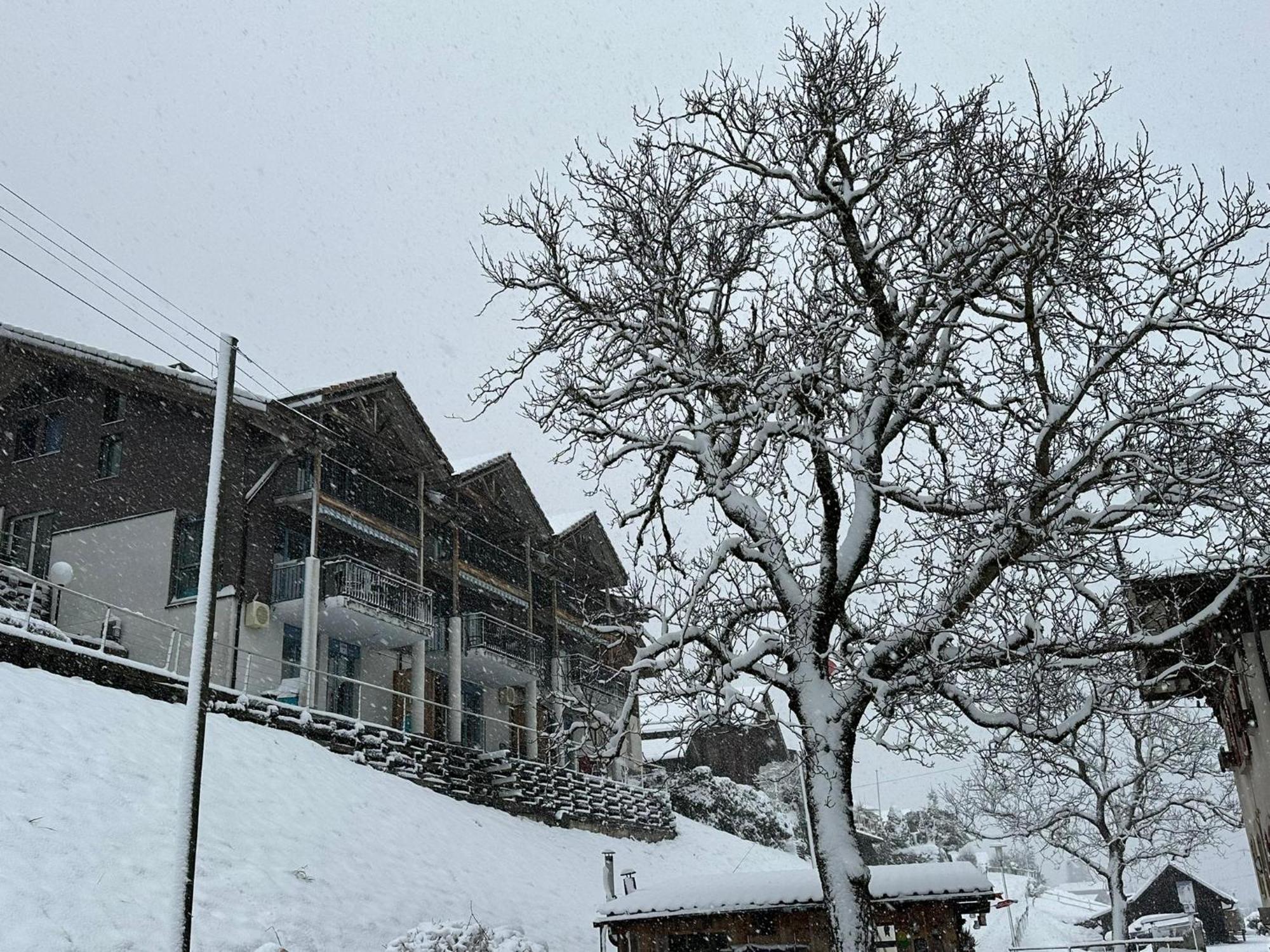 Facing Apartment Niederried bei Interlaken