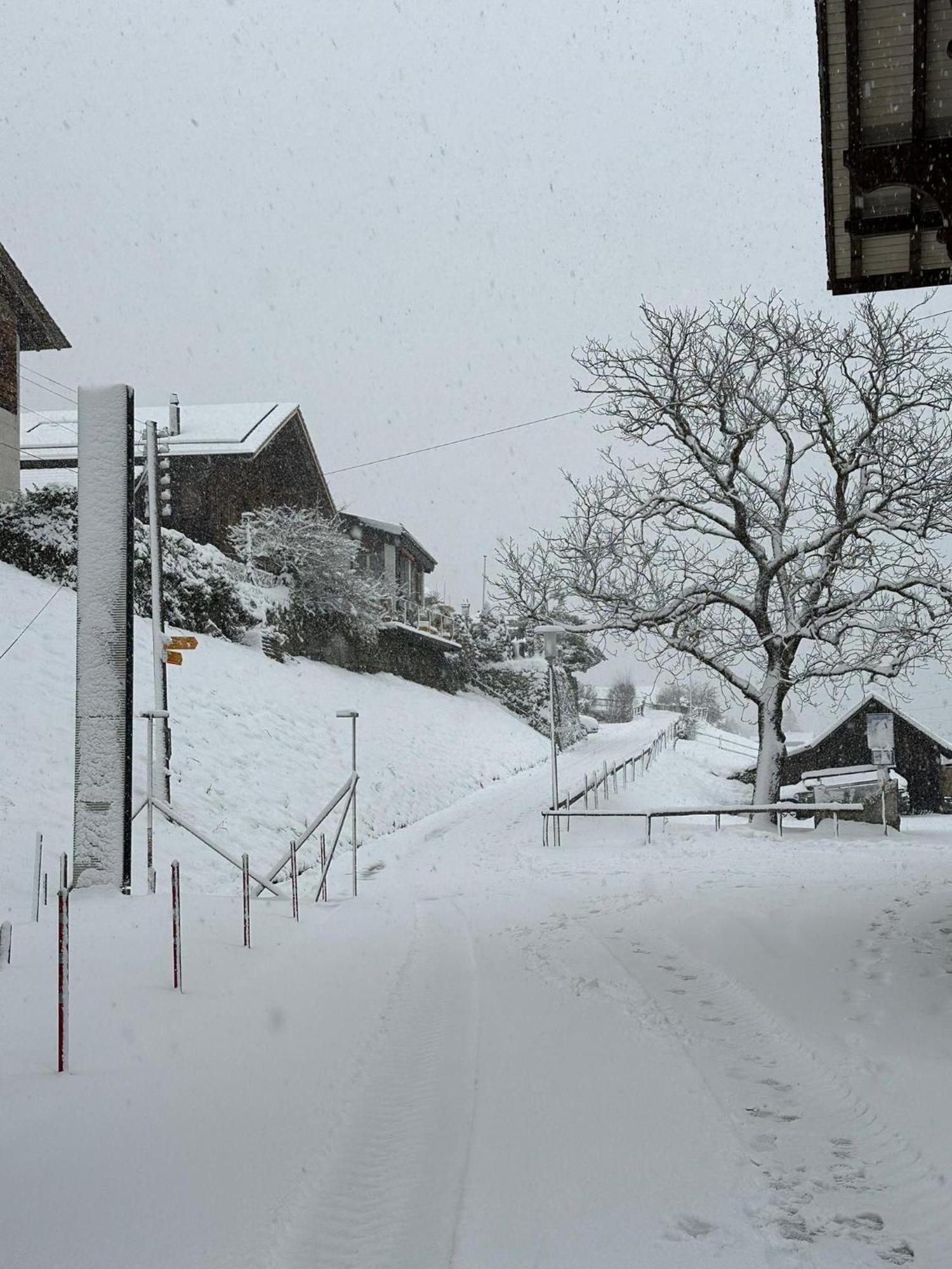 Facing Niederried bei Interlaken