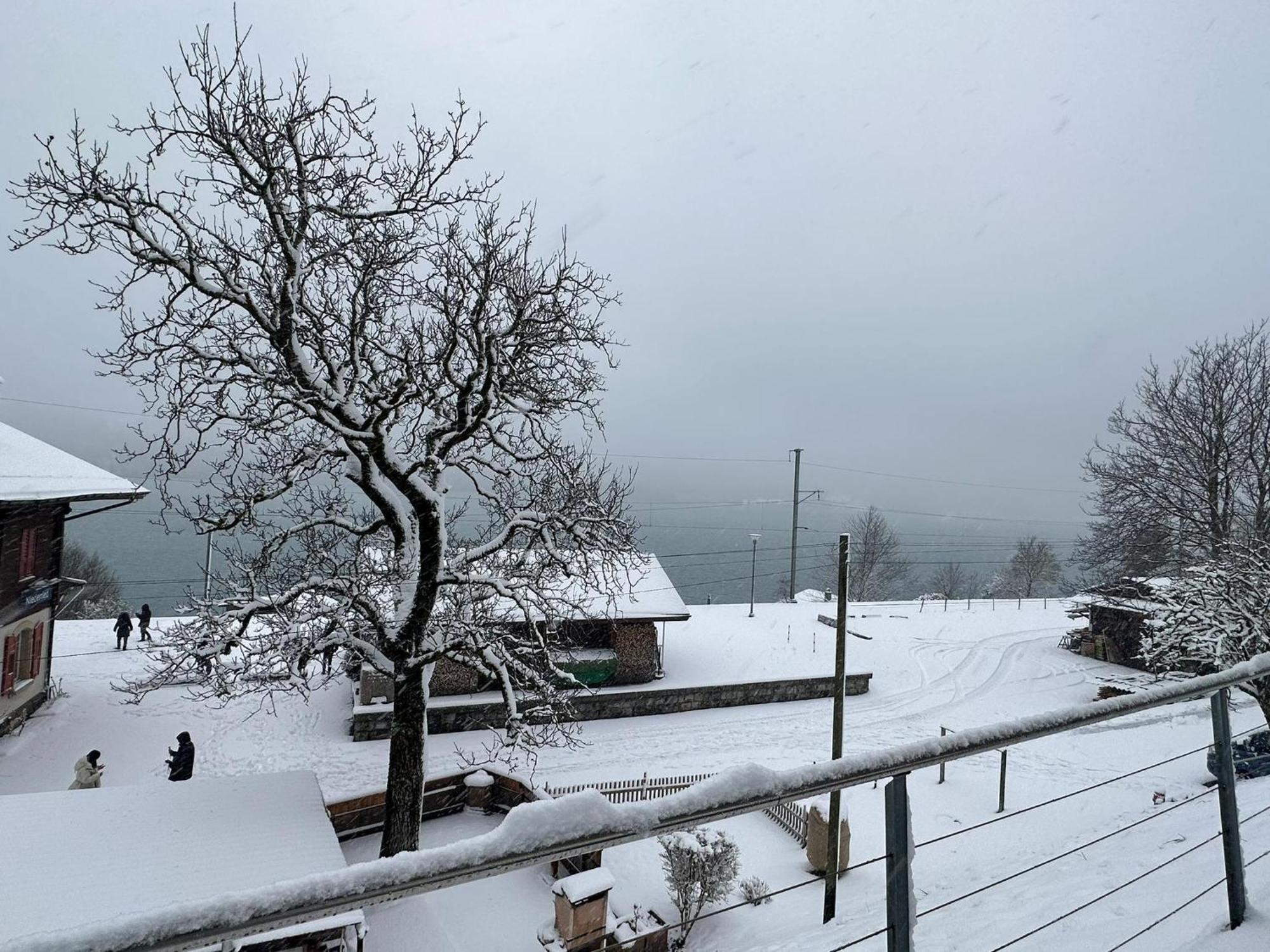 Appartamento Facing Niederried bei Interlaken